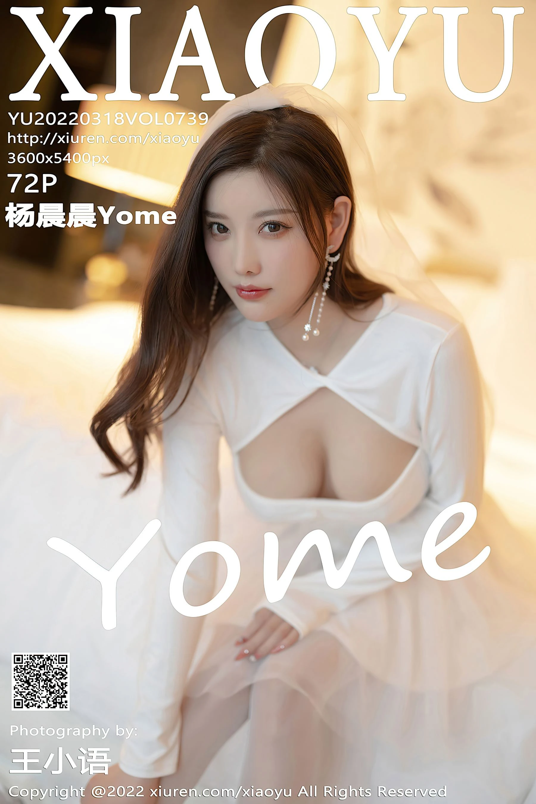 语画界 VOL.739 杨晨晨Yome 丝袜美腿插图27