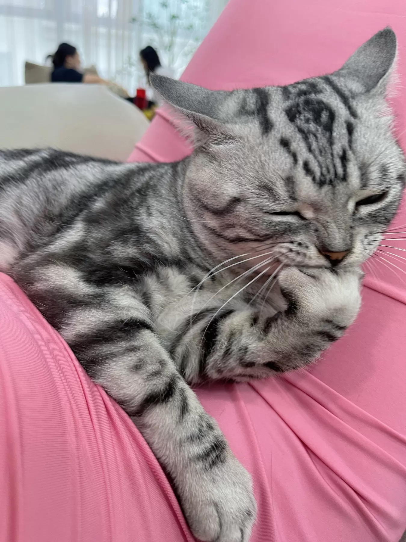 就是阿朱啊 – 逛超市+撸猫 [21P]插图10