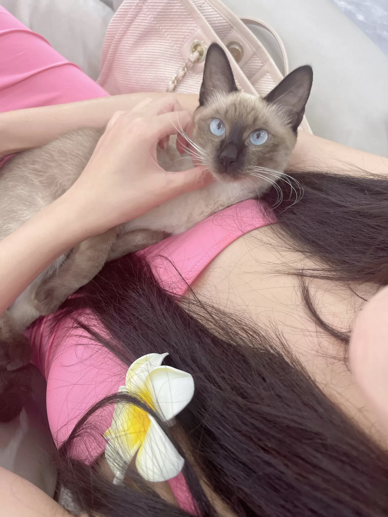 就是阿朱啊 – 逛超市+撸猫 [21P]插图9
