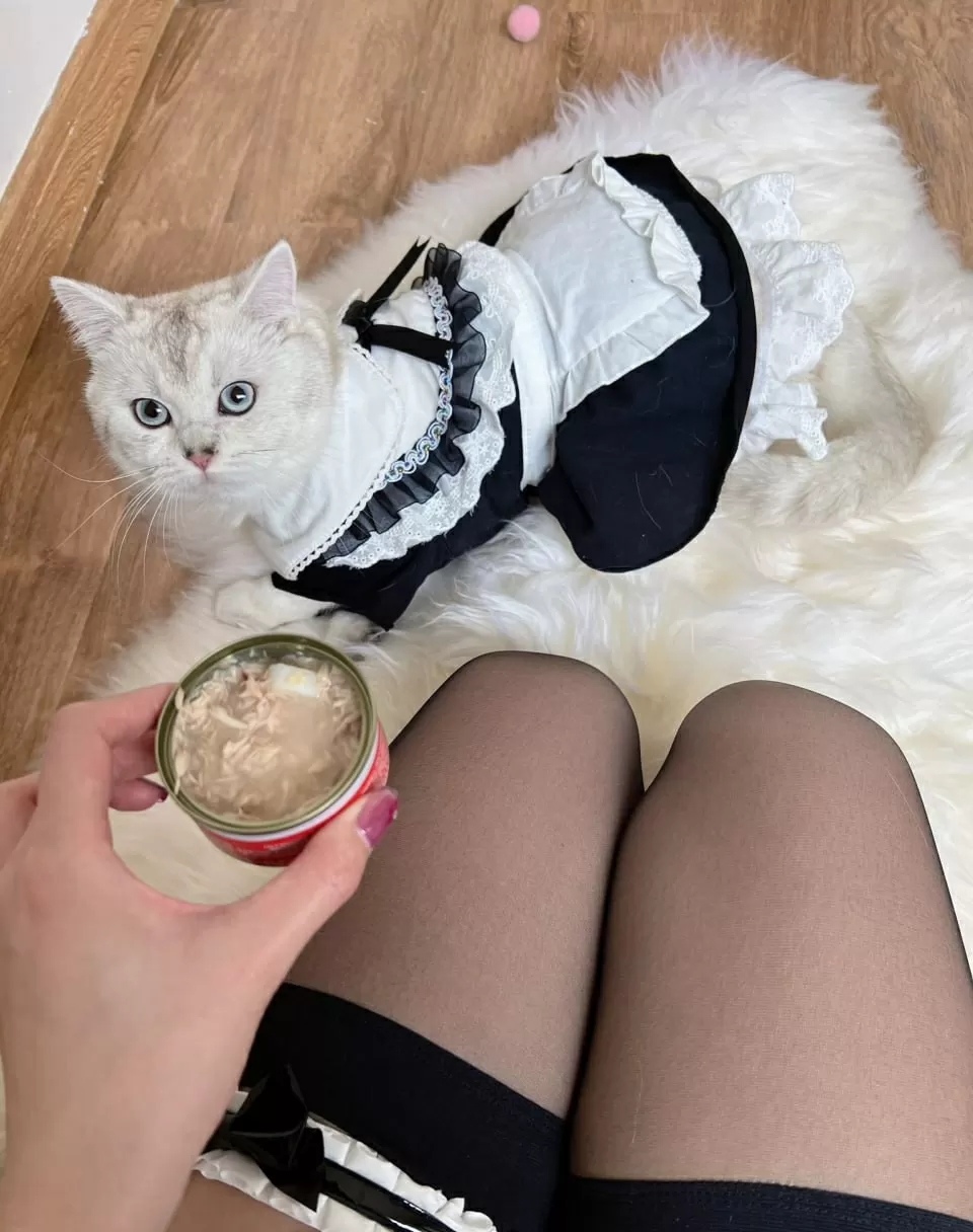 就是阿朱啊 – 黑丝女郎 [64P]插图15